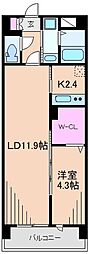 メゾンドプリュネ 1LDKの間取図画像