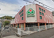 Santoku高田店（500m）