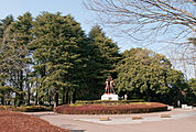 栃木県総合運動公園 360m