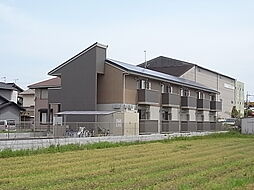 ＷＩＴ　ＰＡＬＡＣＥ