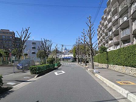 敷地南側の前面道路。大阪モノレール本線「宇野辺駅」徒歩10分、東海道本線「茨木駅」徒歩20分！「紫明園」バス停徒歩14分！バス乗車で阪急線「茨木市駅」へのアクセススムーズ！