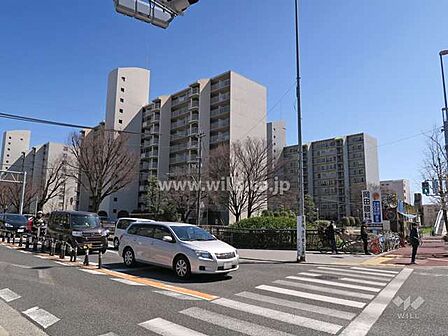 南茨木ハイタウン美沢の遠景。東には桜通りがあり、お散歩やジョギングを楽しむことができます!空家につき内覧可能!お気軽にお問い合わせください!