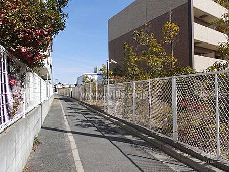 敷地北側の前面道路