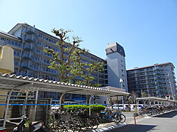 全室洋室仕様の3LDK!空家につき即日内覧可能!
