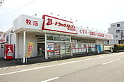 ドラックイレブン牧店