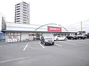 ゆめマート　東折尾店（529m）