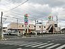 周辺：マルショク富野店（876m）