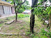建築条件ありません。