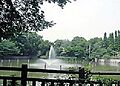 【公園】碑文谷...