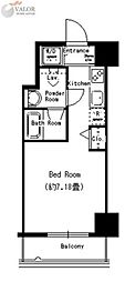 ドールマウスタワー ワンルームの間取図画像