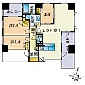 ネクサス西新二丁目5階24.0万円