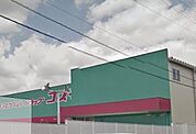 コスモスにれの木店（1102m）
