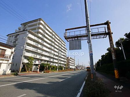 敷地南側の前面道路(4車線の通りです。)