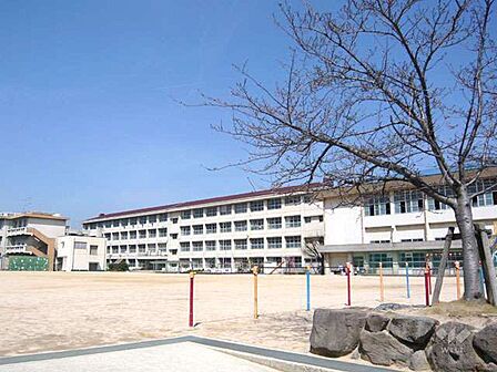 鳴尾東小学校[公立]の外観