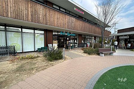 LDK17.9帖［2026年4月25日撮影］