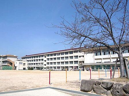 鳴尾東小学校[公立]の外観