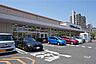 周辺：スーパーマルハチ(南芦屋浜店)の外観