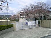 南小学校[公立]の外観