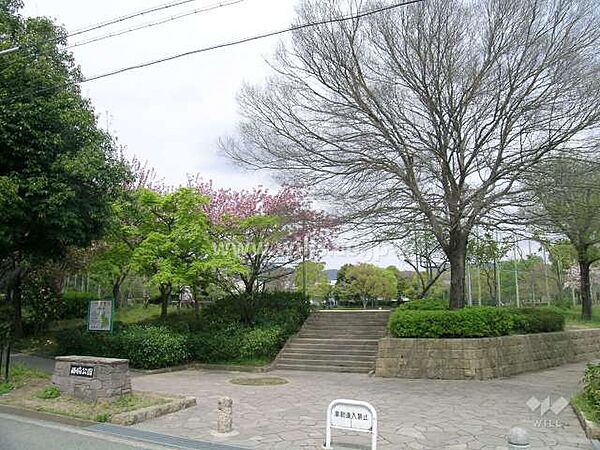 周辺を拡大表示