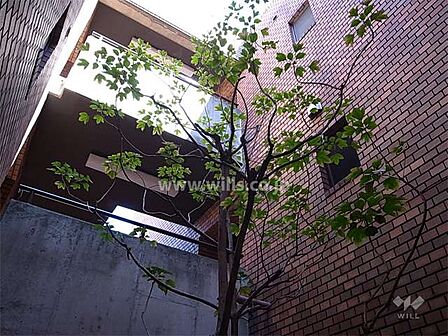 ホール中央に木が植えられています。