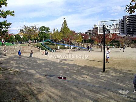 野畑南公園の外観