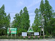 服部緑地の外観