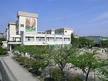 泉丘小学校[公立]の外観