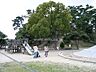 周辺：大塚公園