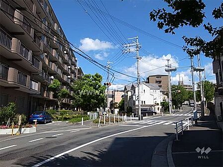 敷地南側の前面道路。街路樹がきれいな二車線の通りです。(歩道付き)