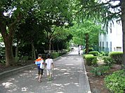 片山公園の外観
