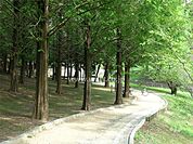 佐竹公園の外観