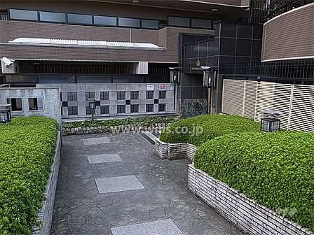 植栽の緑がきれいなエントランスアプローチ