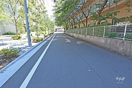 敷地西側の前面道路(北側から)