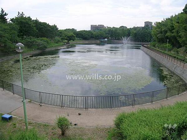 周辺を拡大表示