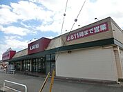 カスミ大芝店 904m