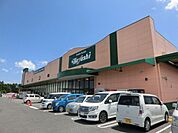 フードプラザハヤシ六ツ野店 429m