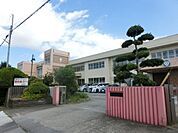 茂原市立中の島小学校 1167m