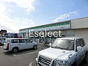 ファミリーマート市原岩崎店 徒歩12分。 920m