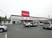 トライアル 380m