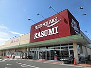 カスミフードスクエア茂原店 1608m