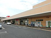 せんどう 790m