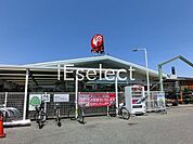 コメリハード＆グリーン市原古市場店 徒歩6分。 450m