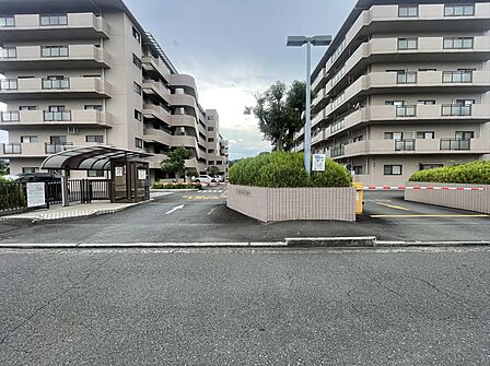 現地写真