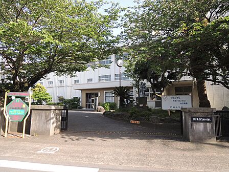 沼津市立門池小学校まで(820m)