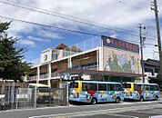 しらぎく幼稚園まで約1600ｍ/徒歩約20分　体力づくりを通しての健康教育やリズム教育、芸術・情操教育などで、豊かな人間性を育成するための「全人教育」を心がけています。