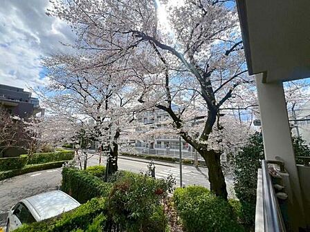 《バルコニーからの眺め》緑が多く、思わず深呼吸したくなる景観です。