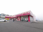 株式会社コスモス薬品／ディスカウントドラッグコスモ(419m)