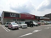 ハローデイ井堀店(190m)