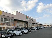 マルショク一枝店 (300m)