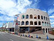 メグリア本店 262m